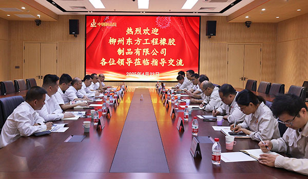 增互信，創(chuàng)共贏|柳州東方工程橡膠制品有限公司至中鋼國檢考察交流